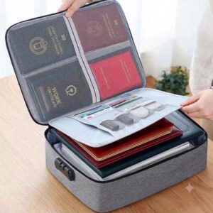 Travel Document Organizer Bag